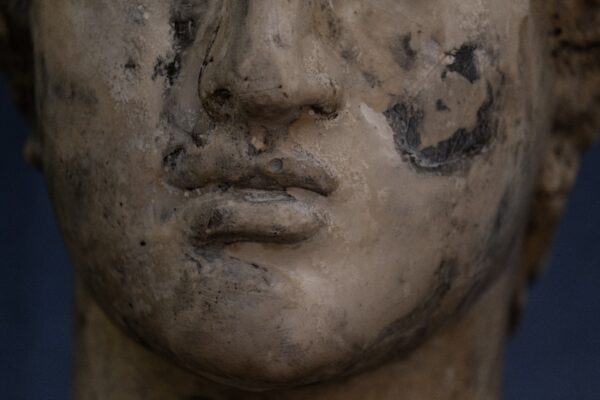 Scultura “Afrodite” di Alessandro La Motta - immagine 9