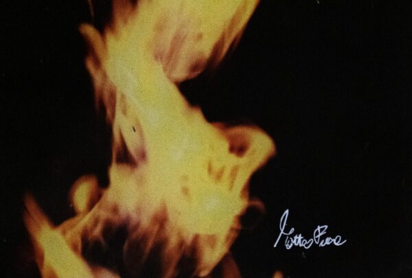 Dipinto “Batman Fire” di Matteo Frasca - immagine 2