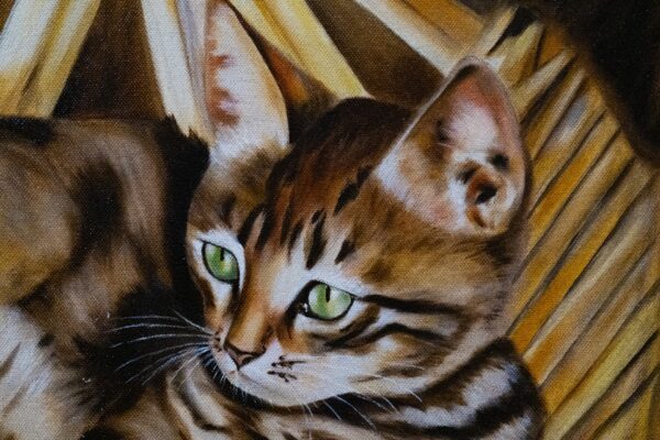 Dipinto “Gatto con Cesta” di Nghenga’ - immagine 5