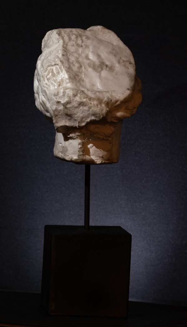 Scultura “Hera” di Alessandro La Motta - immagine 6