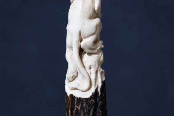 Scultura "A Stunning lion carving from deer antler with custom stand" - immagine 2
