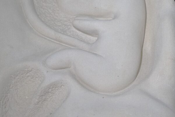 Scultura "Faetus" di Silvana Marrapodi - immagine 3