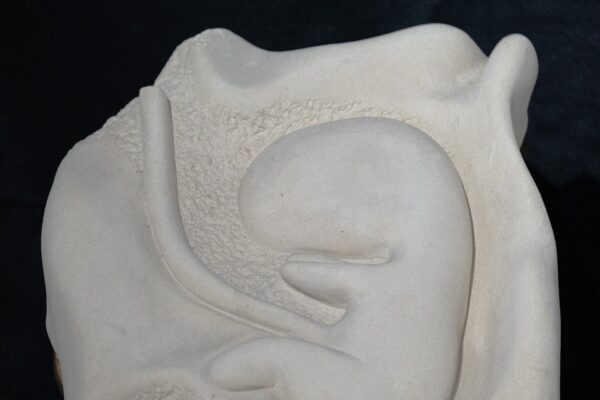 Scultura "Faetus" di Silvana Marrapodi - immagine 5