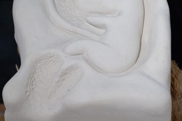 Scultura "Faetus" di Silvana Marrapodi - immagine 4