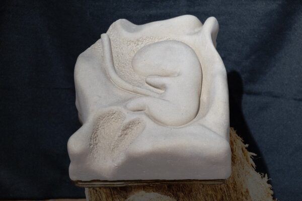 Scultura "Faetus" di Silvana Marrapodi