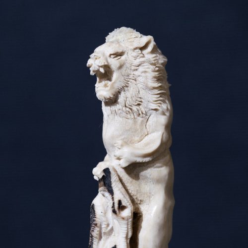 Leone dettaglio 3 copia